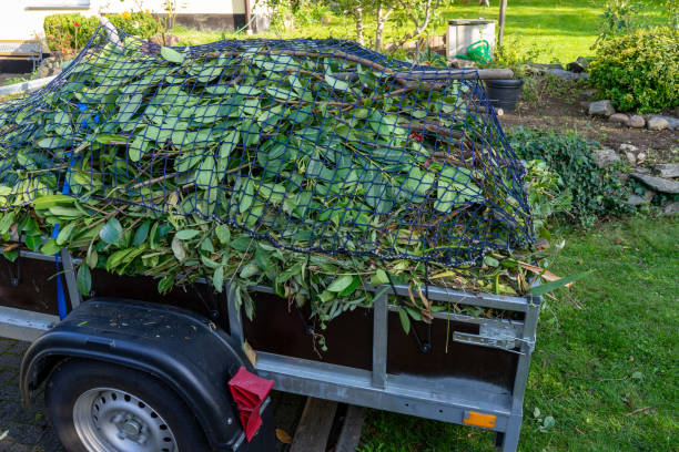Best Same-Day Junk Removal Services  in Birch Run, MI